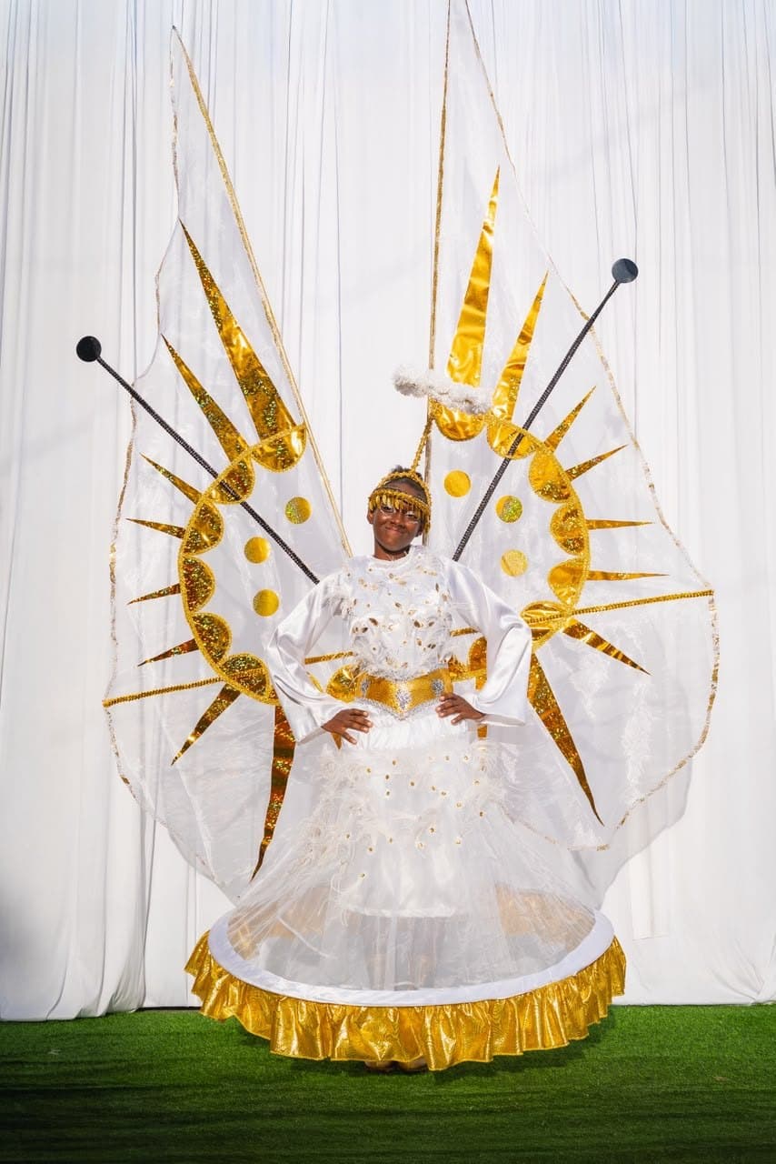 Angel Harps